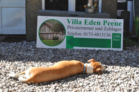 Villa Eden Peene samt Hund
