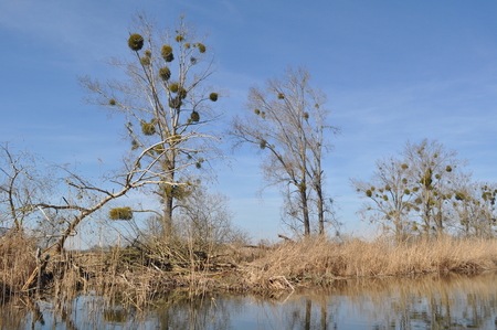 Traumlandschaft_an_der_ucker